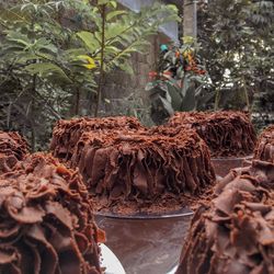 Close-up of potted plants against trees