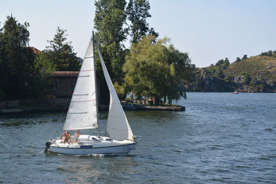 Sailboat sailing on sea against clear sky