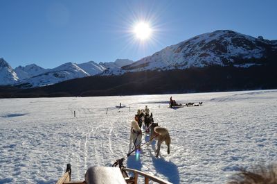 People dog sledding on snowcapped mountain against sky