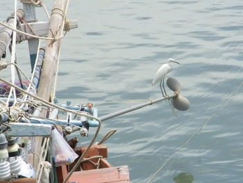 Close-up of rope in water