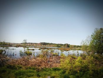 Scenic view of lake against clear sky