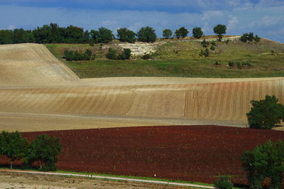 Scenic view of field against sky