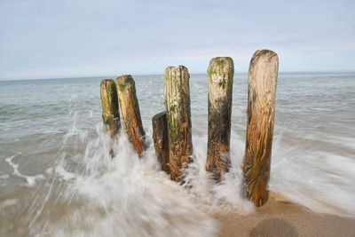 Panoramic shot of wooden posts in sea against sky