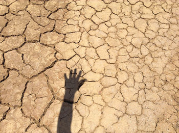 Full frame shot of cracked land