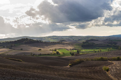 Scenic view of agricultural field against cloudy sky