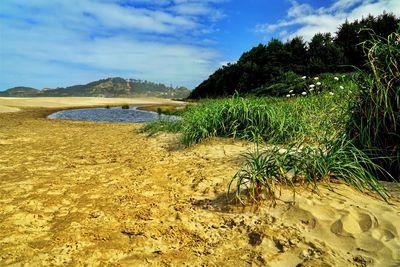 Scenic view of beach against sky