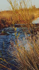 Scenic view of river against sky