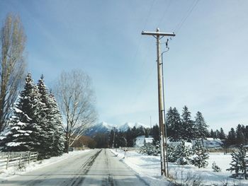 Road amidst trees against sky during winter