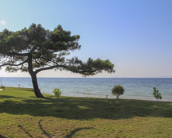 Scenic view of sea against clear sky