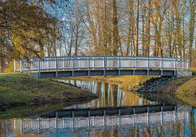 Bridge over river in forest