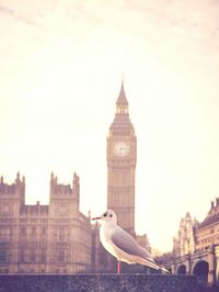 Low angle view of big ben against sky