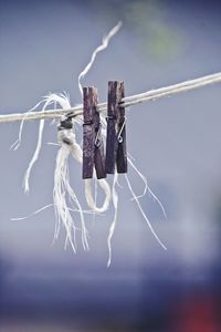 Close-up of clothespin on rope