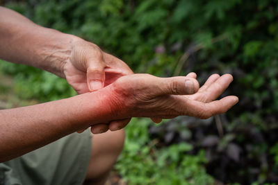 Close-up of people hand against plants