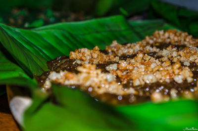 Close-up of food