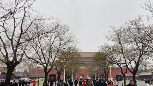 Group of people on bare tree against sky