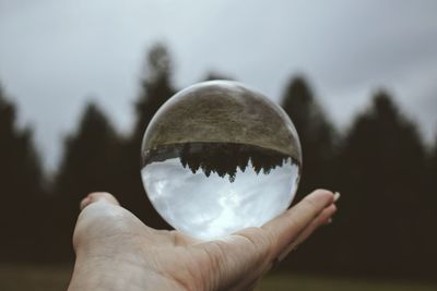 Close-up of hand holding crystal ball against trees