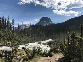 Scenic view of landscape against sky