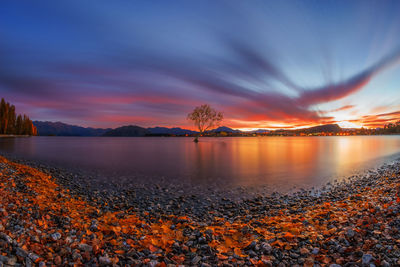 Scenic view of lake at sunset