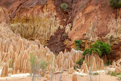 Red sandstone formations and needles in tsingy rouge park in madagascar, africa