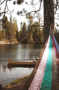 Scenic view of lake in forest