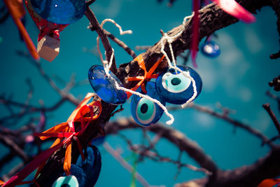 Close-up of rope tied up on branch against blue sky