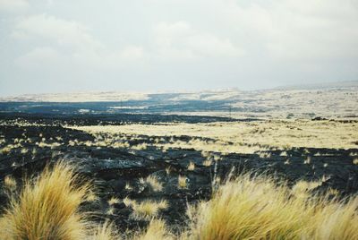 Scenic view of landscape against cloudy sky