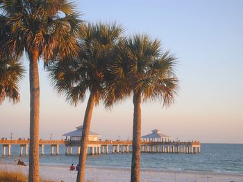 Palm trees on beach against clear sky