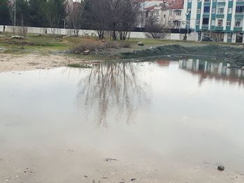 Reflection of trees and buildings in lake