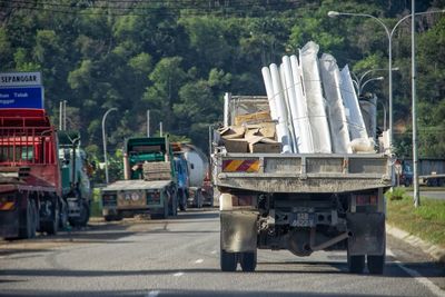 Vehicles on road against trees in city