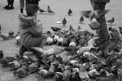 Group of people feeding birds in city