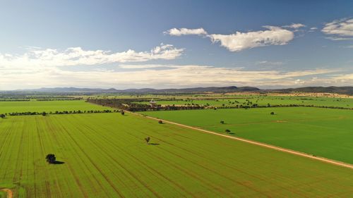 Scenic view of agricultural field against sky