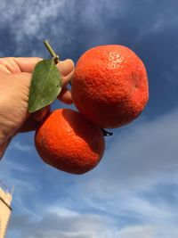 Close-up of hand holding orange fruit against sky