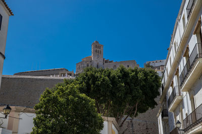 Low angle view of trees and building against blue sky