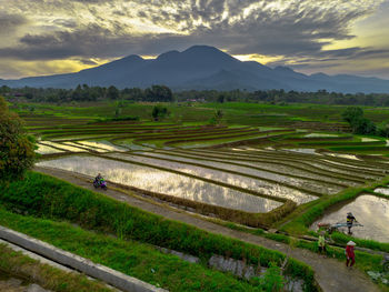 landscape