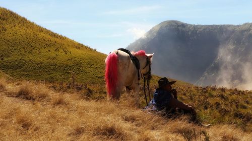 Man sitting on grass by horse against mountain and sky