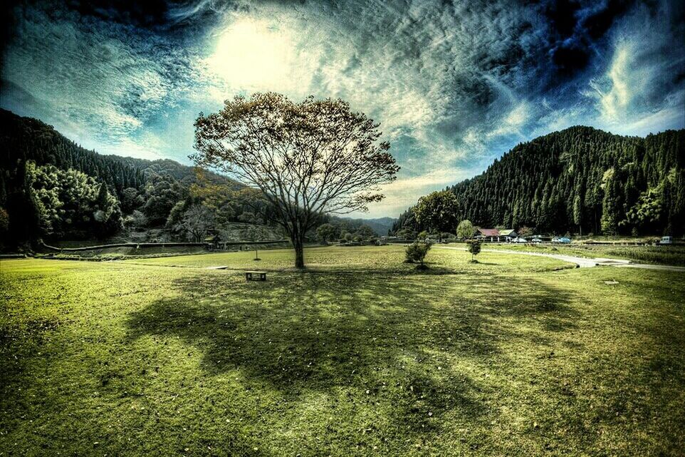 tree, sky, tranquil scene, tranquility, scenics, beauty in nature, mountain, nature, landscape, cloud - sky, grass, sunlight, non-urban scene, idyllic, field, growth, mountain range, cloud, outdoors, auto post production filter