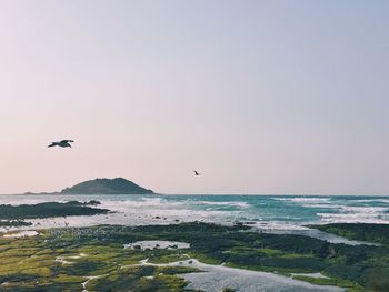 Scenic view of sea against clear sky