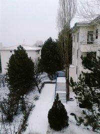 Snow covered trees in winter