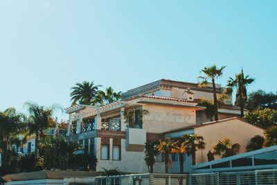 Palm trees by swimming pool against buildings