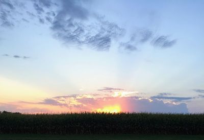 Scenic view of field against sky during sunset