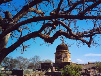 Low angle view of tree by building against sky