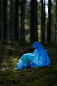 Blue umbrella on field in forest