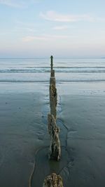 Driftwood on wooden post by sea against sky