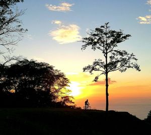 Silhouette tree against sky during sunset