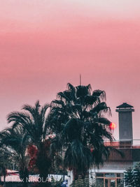 Palm trees and buildings against sky during sunset