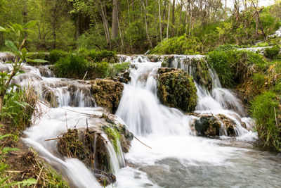 Scenic view of waterfall in forest