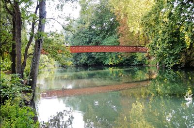 Scenic view of river with trees in background