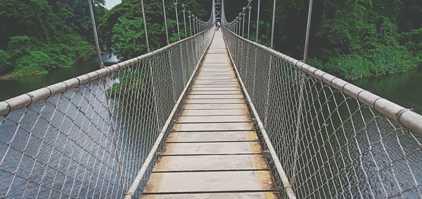 View of footbridge in forest