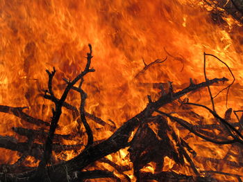 Close-up of fire against orange sky