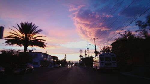 Road with palm trees in background